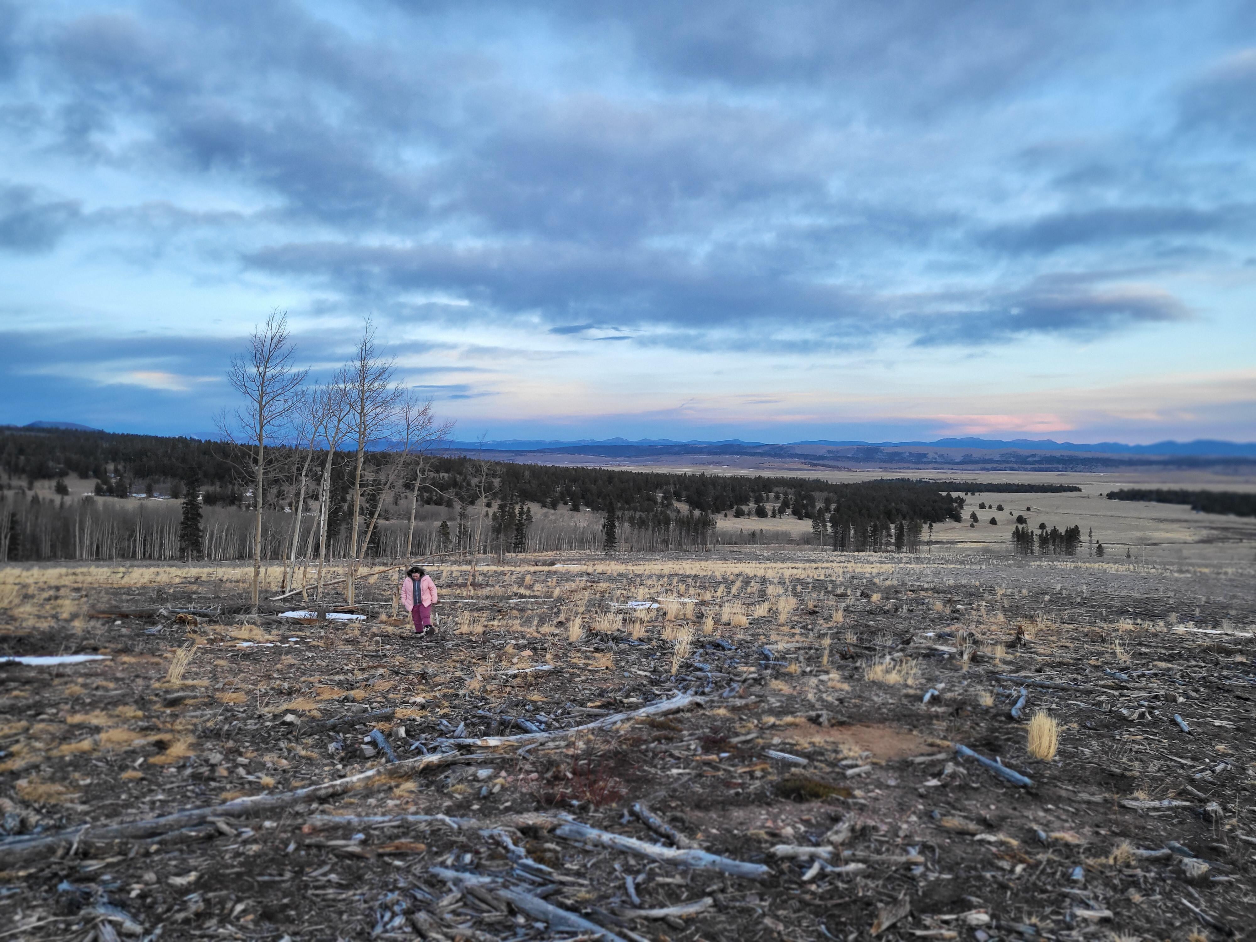 Looking down on the ranch from the mountain 