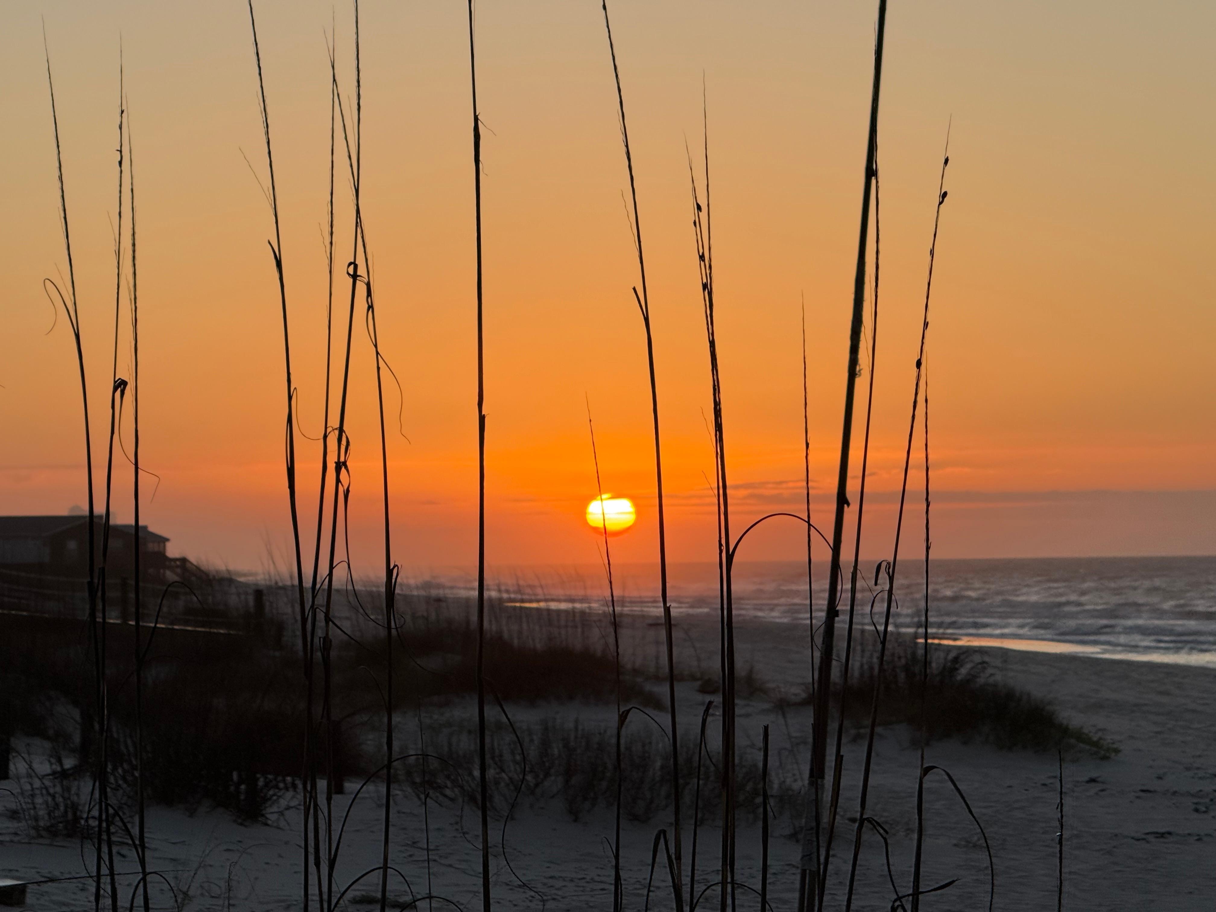 Beautiful morning sunrise!