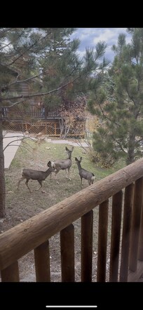 Right out window