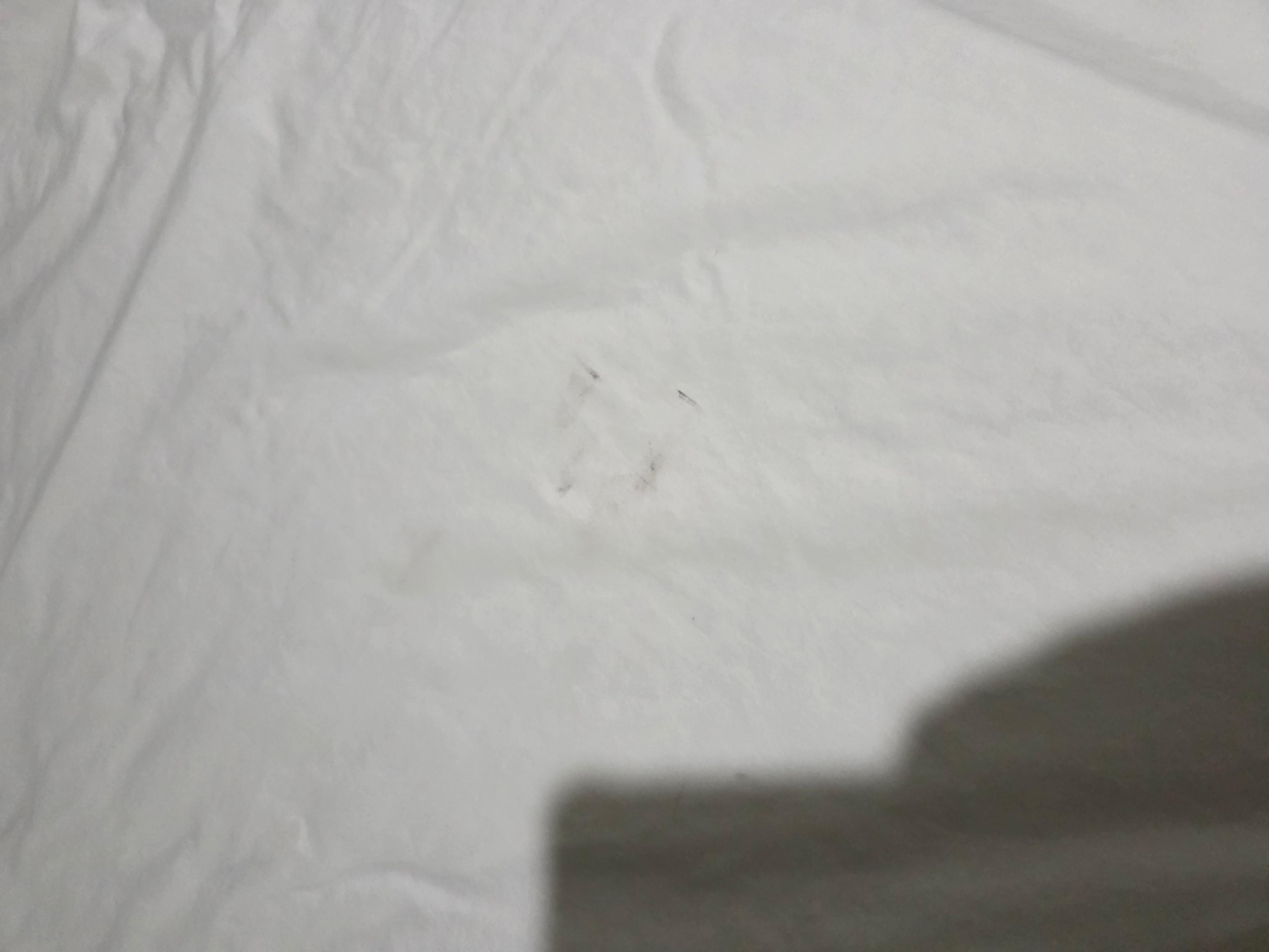 More dirty sheets