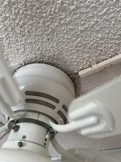 FILTHY WIRES EXPOSED