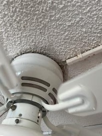 FILTHY WIRES EXPOSED