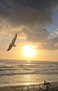 Picture from my balcony
Perfect way to wake up