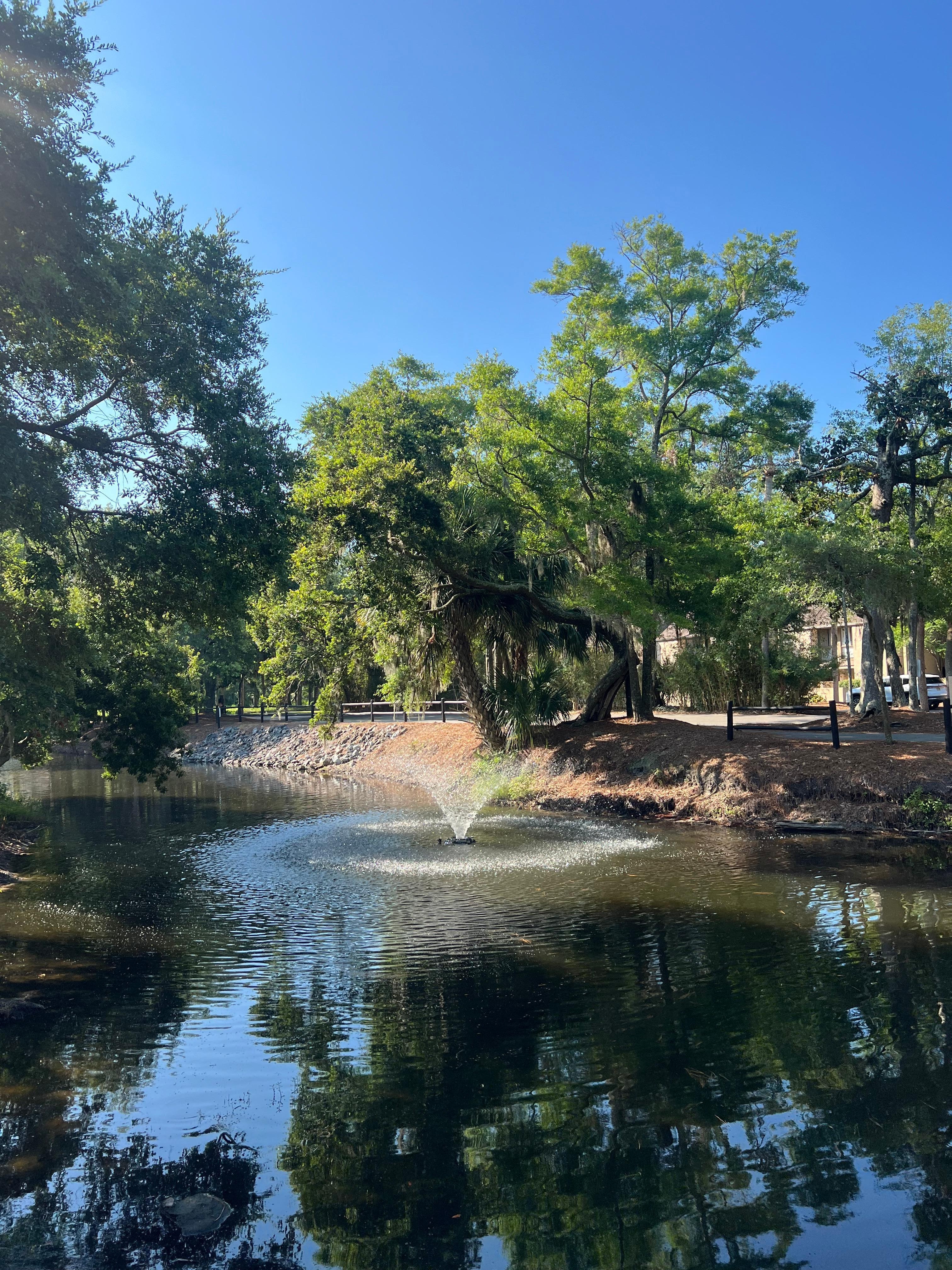 The Hotel’s Pond (Beware of the alligators!)