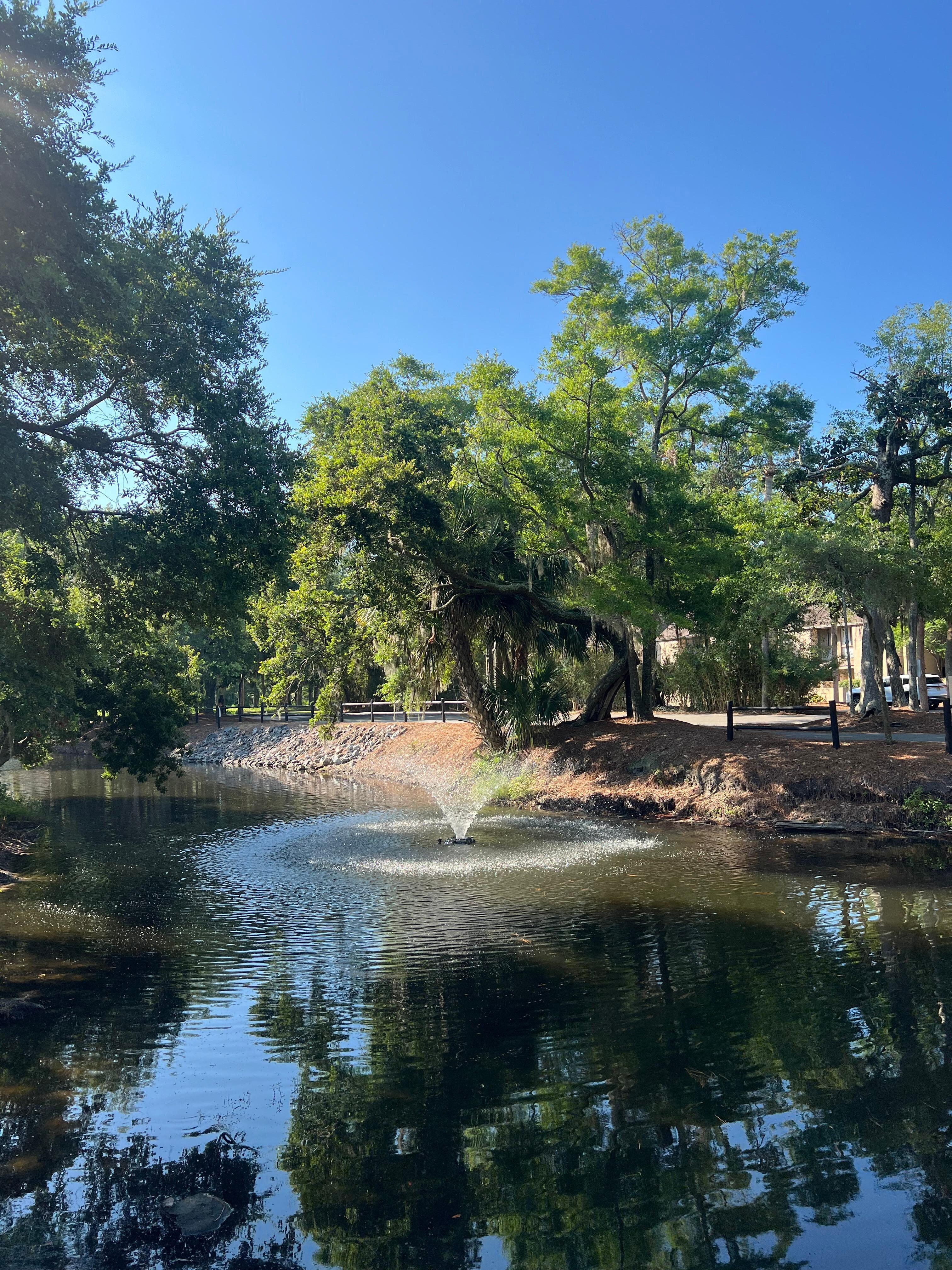 The Hotel’s Pond (Beware of the alligators!)