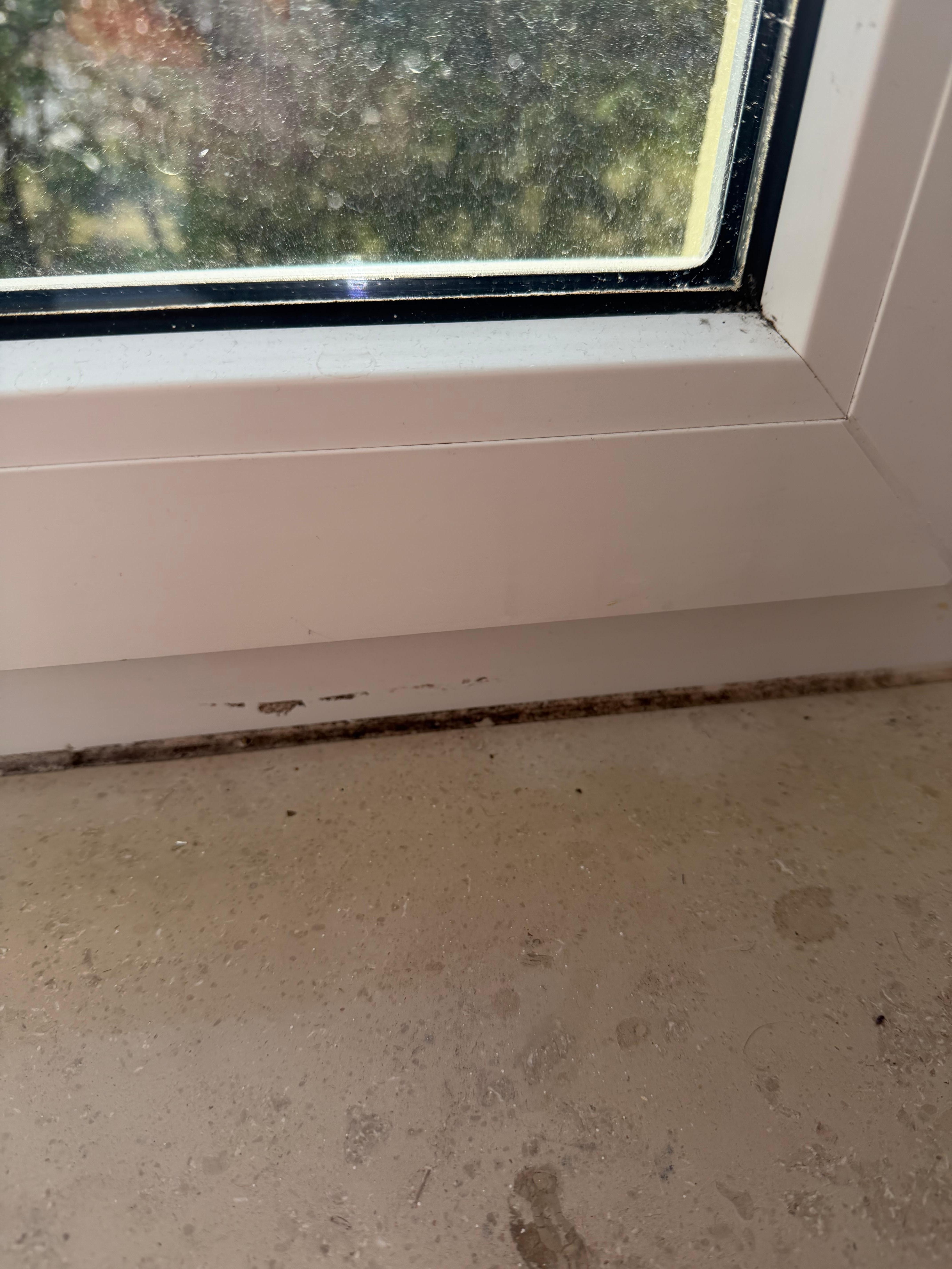 Leichter Schimmelansatz an der Silikonfuge im Schlafzimmer 