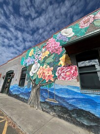 Downtown West Jefferson shopping trip. Lots of cute shops.