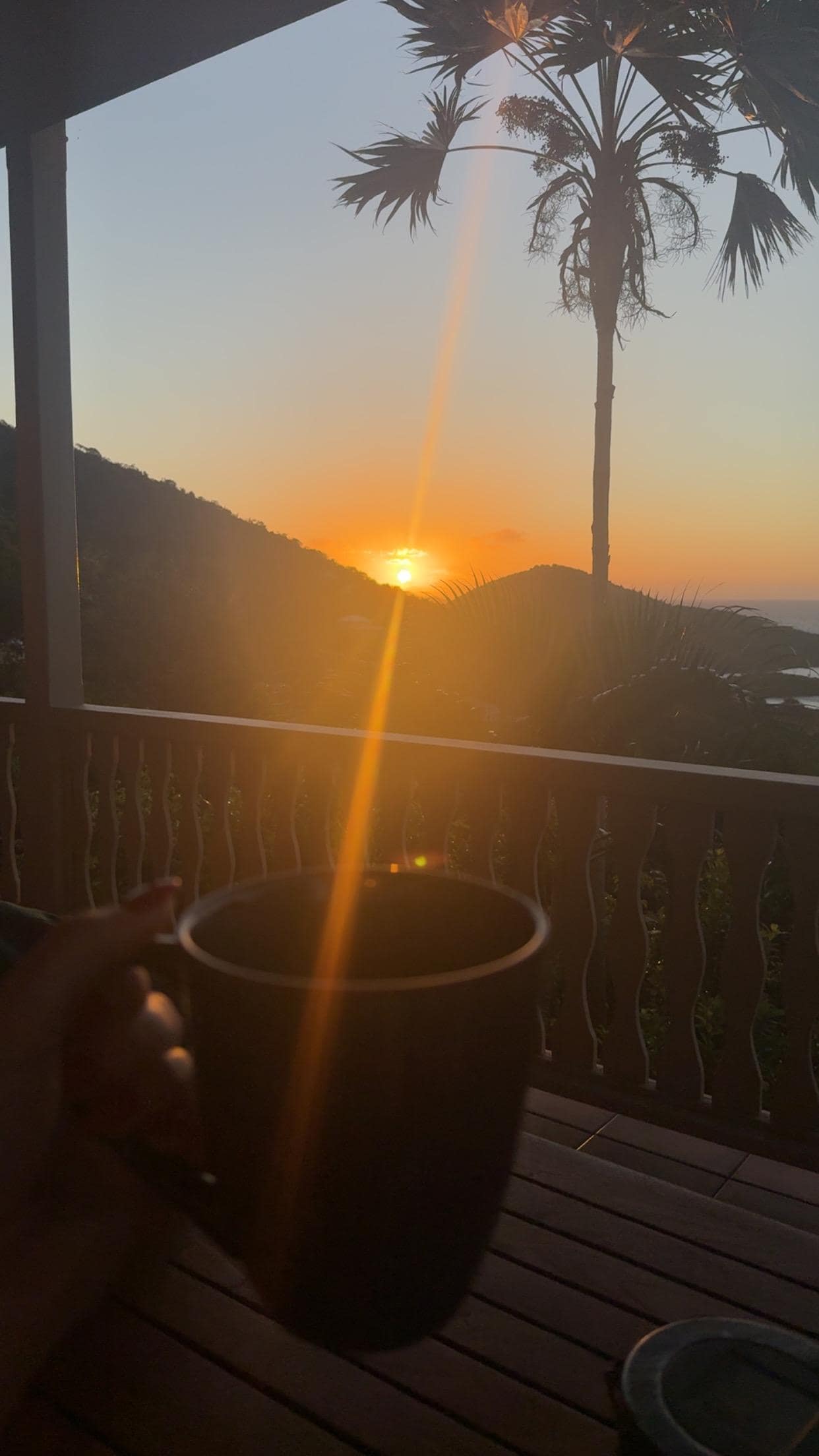 Sunrise from the front porch, best part of every morning! 