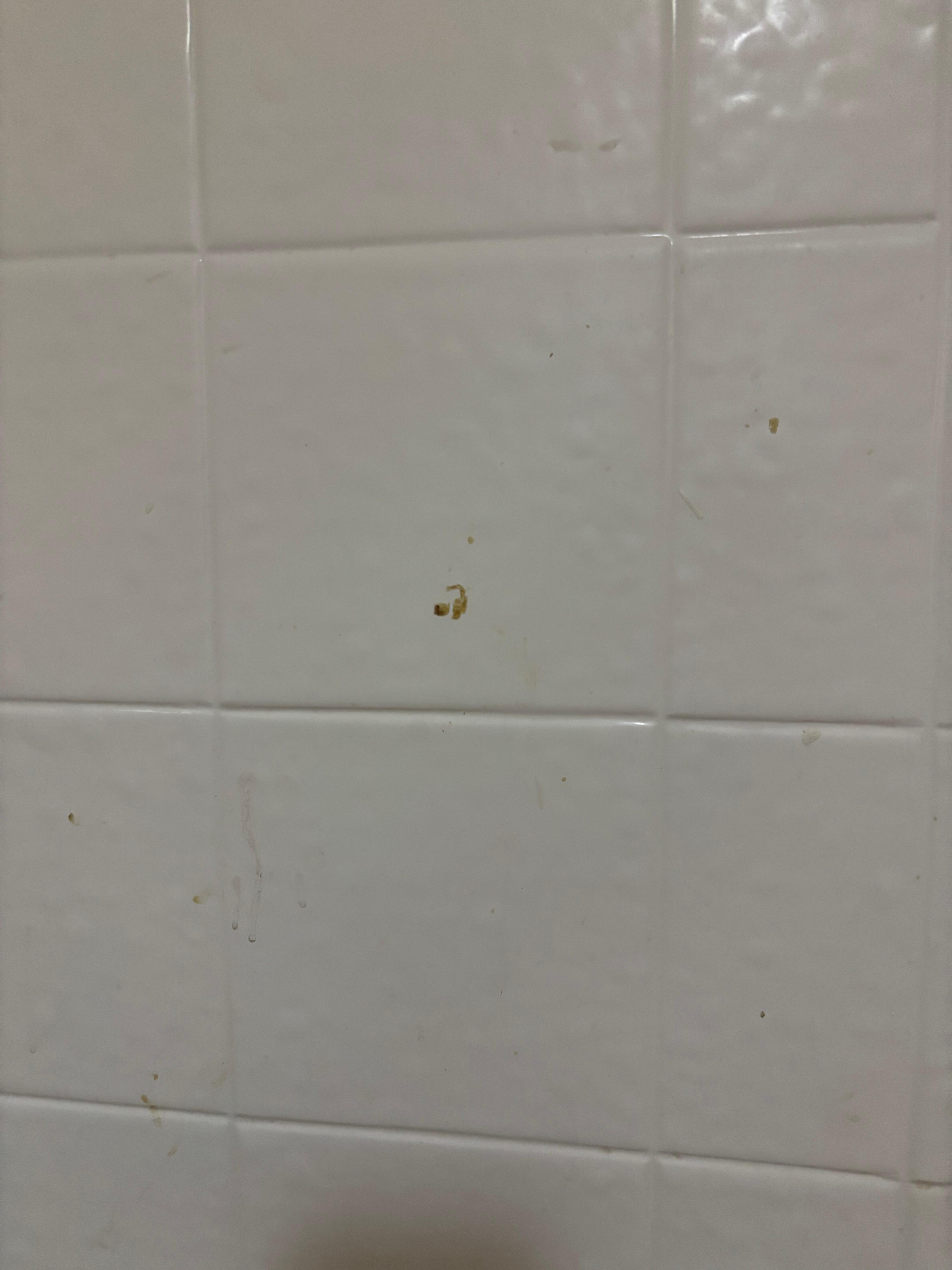 The boogers on the wall