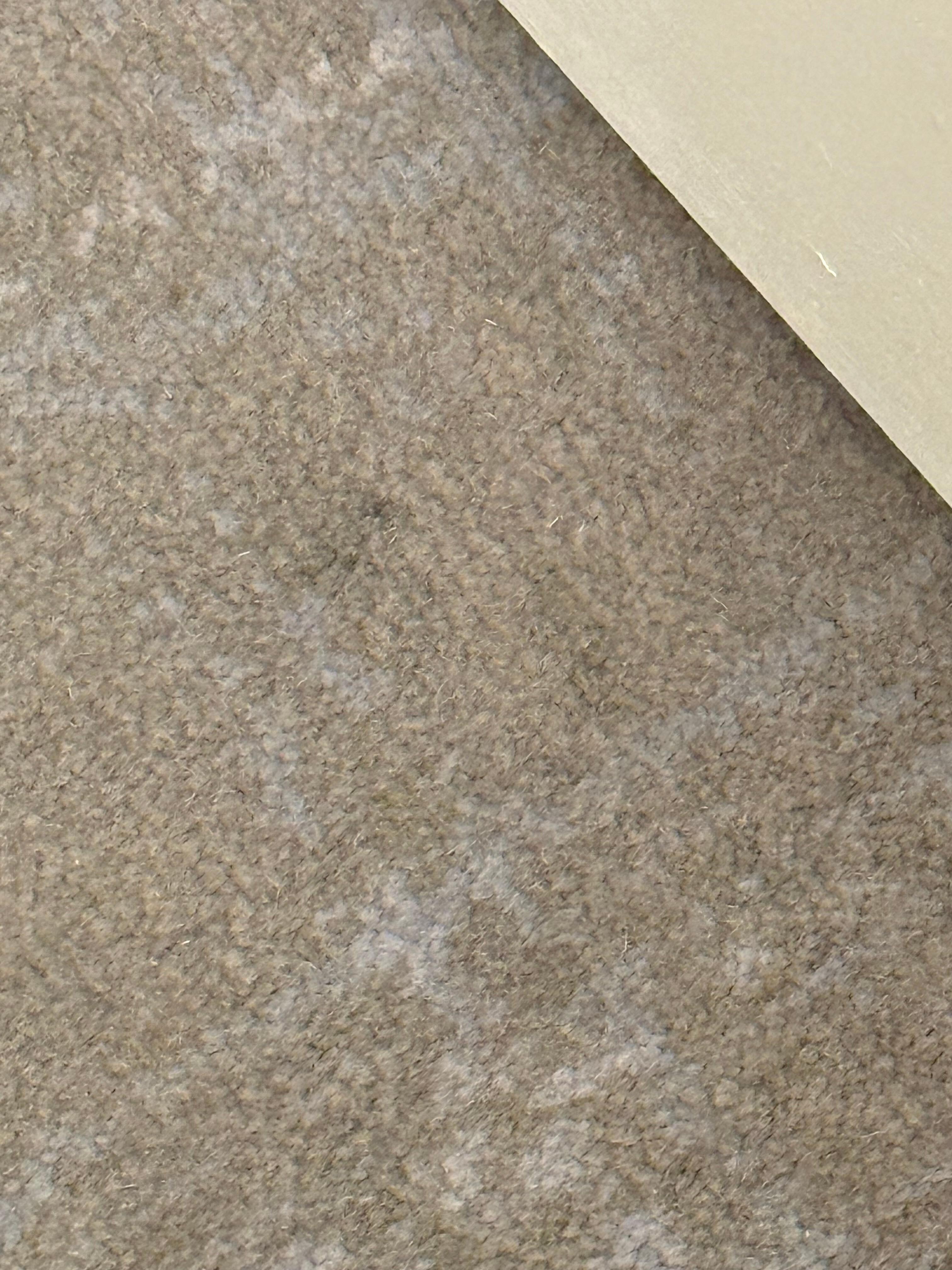 Nasty carpet 