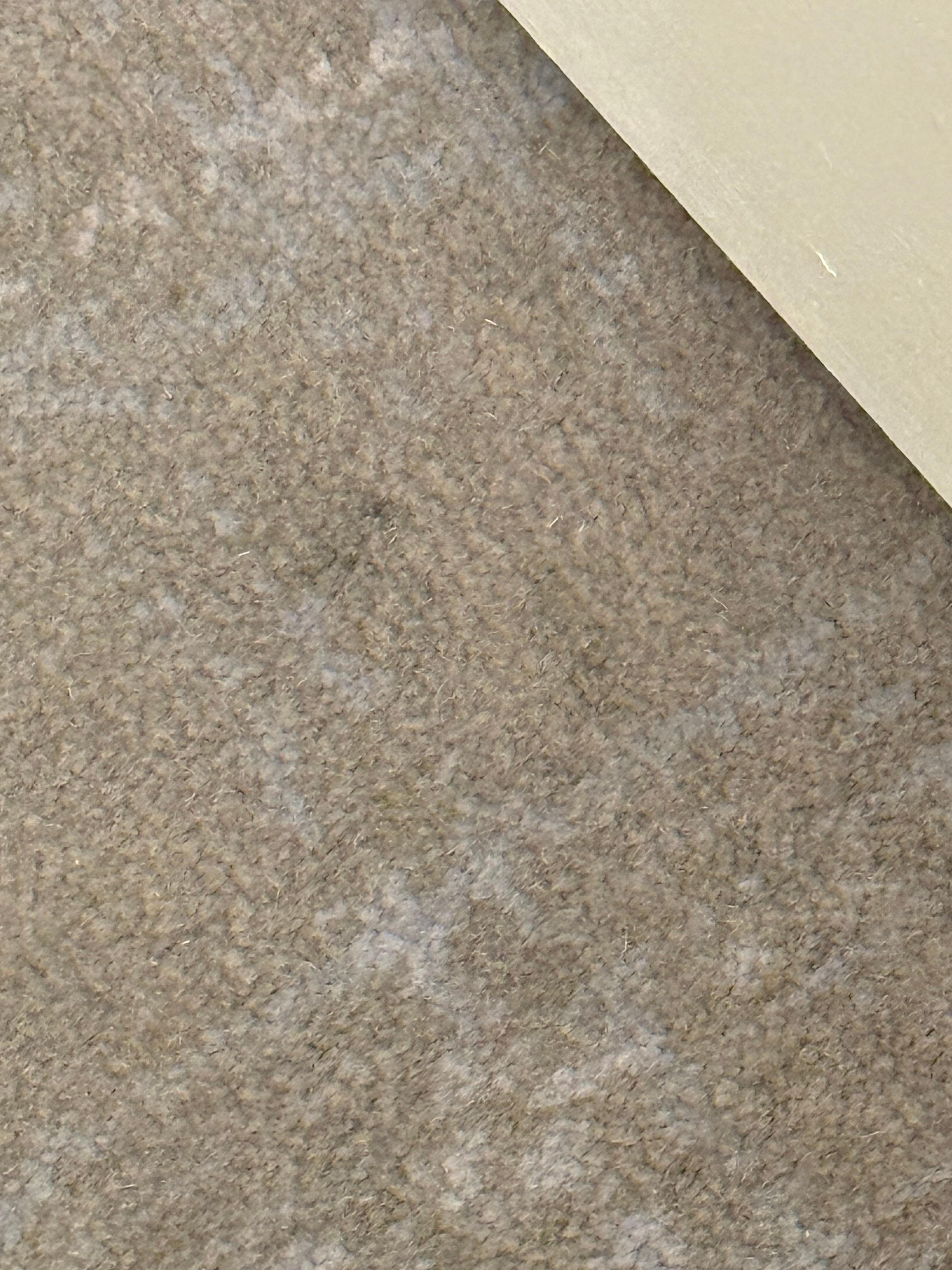 Nasty carpet