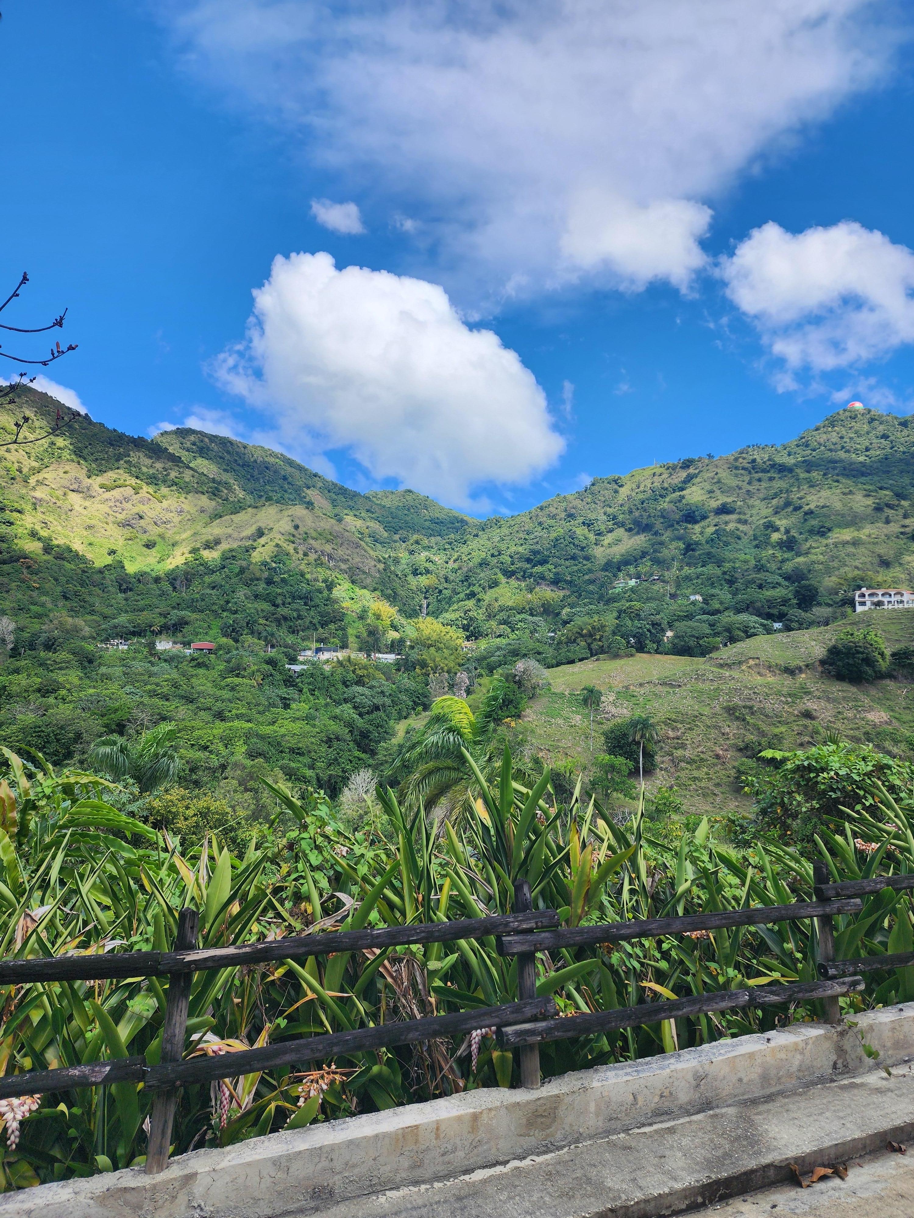 The view from the driveway