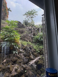 Out the kitchen window.