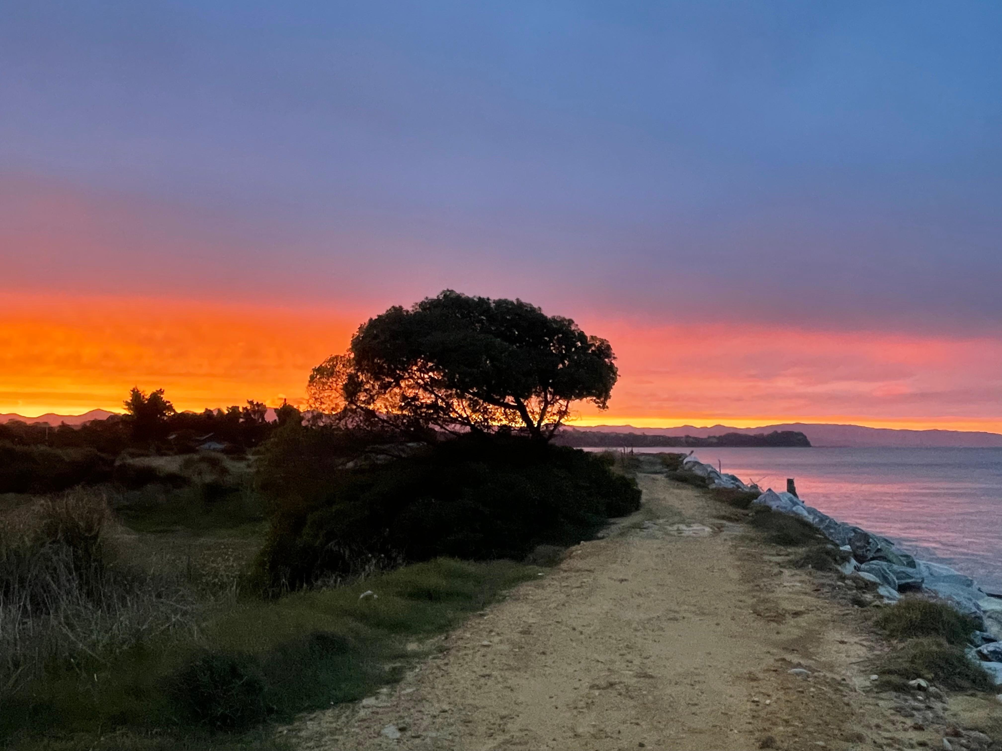 Taken from path at edge of property 