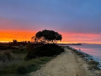 Taken from path at edge of property