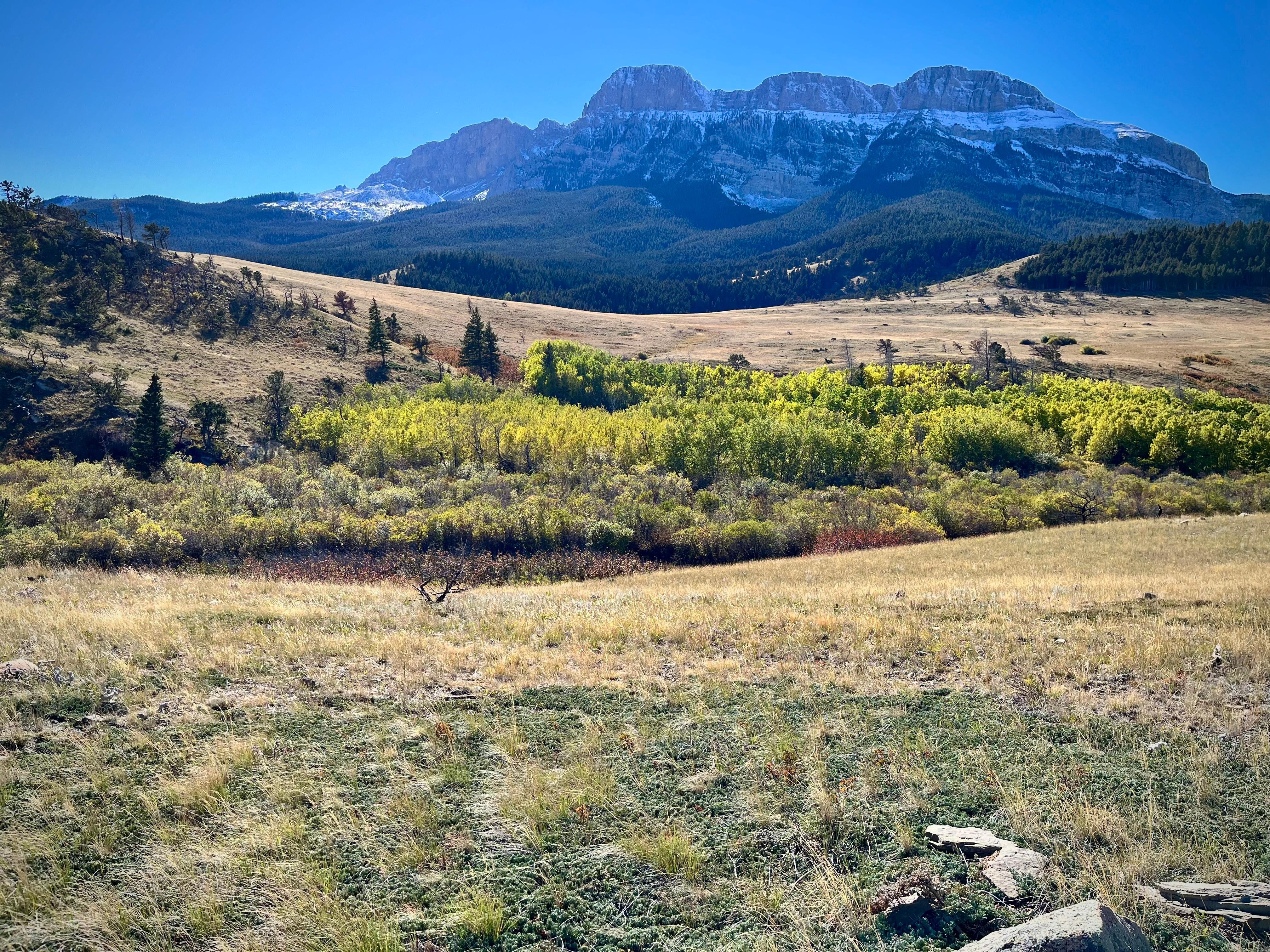 Sun River Game Management Area