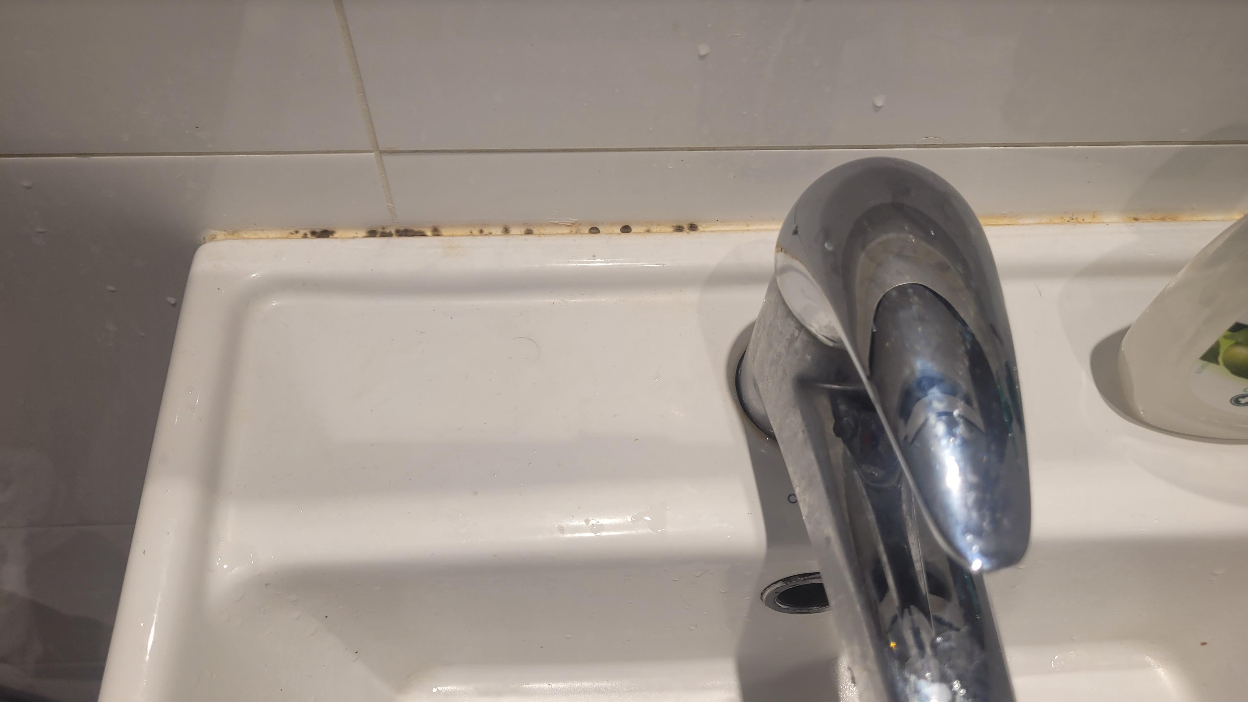 Mold in the bathroom