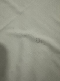 Hair found on bed