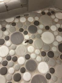 Dead adult in the main shower