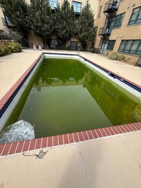 I understand if September is not peak pool time, however, the pool should have been covered and properly closed then.