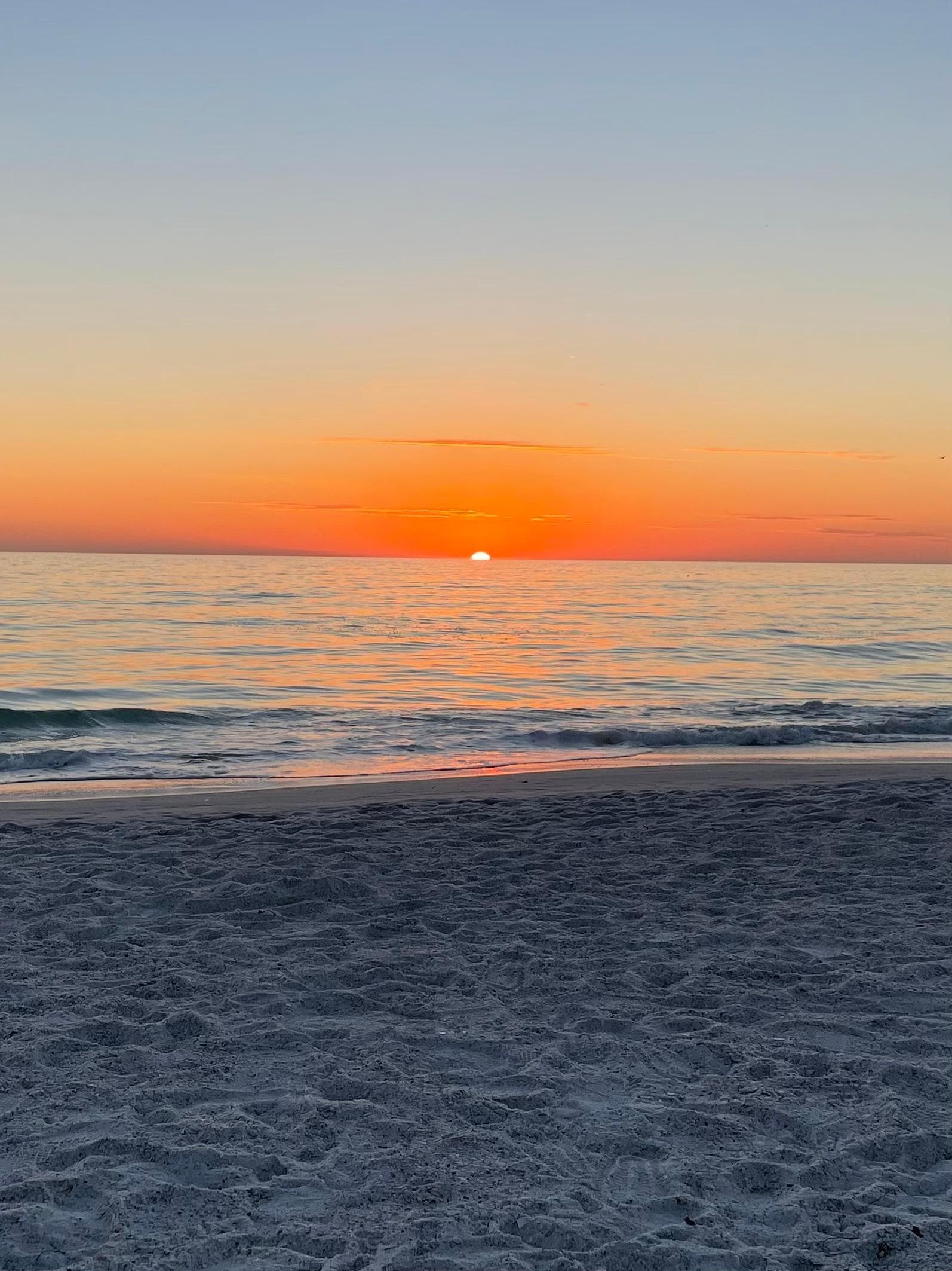 5 minute walk…every day