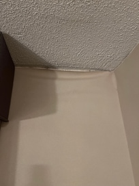 Mold
