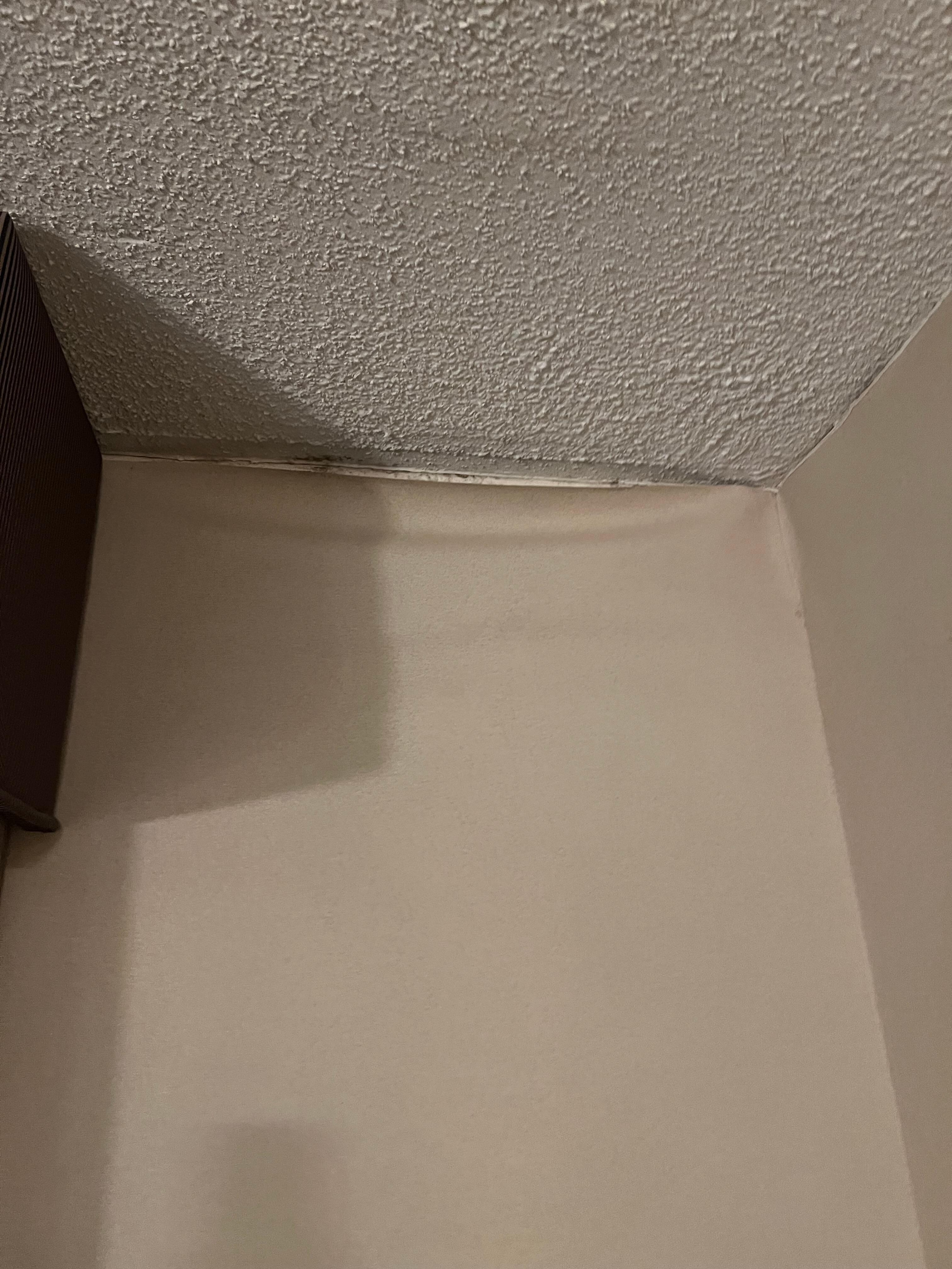 Mold