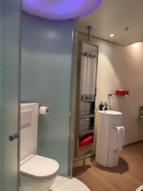 Toilet and sink in middle of room