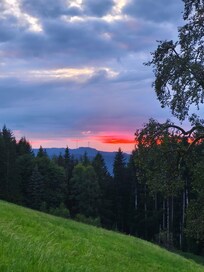 Ein sehr schöner Ausblick in den Abendhimmel.