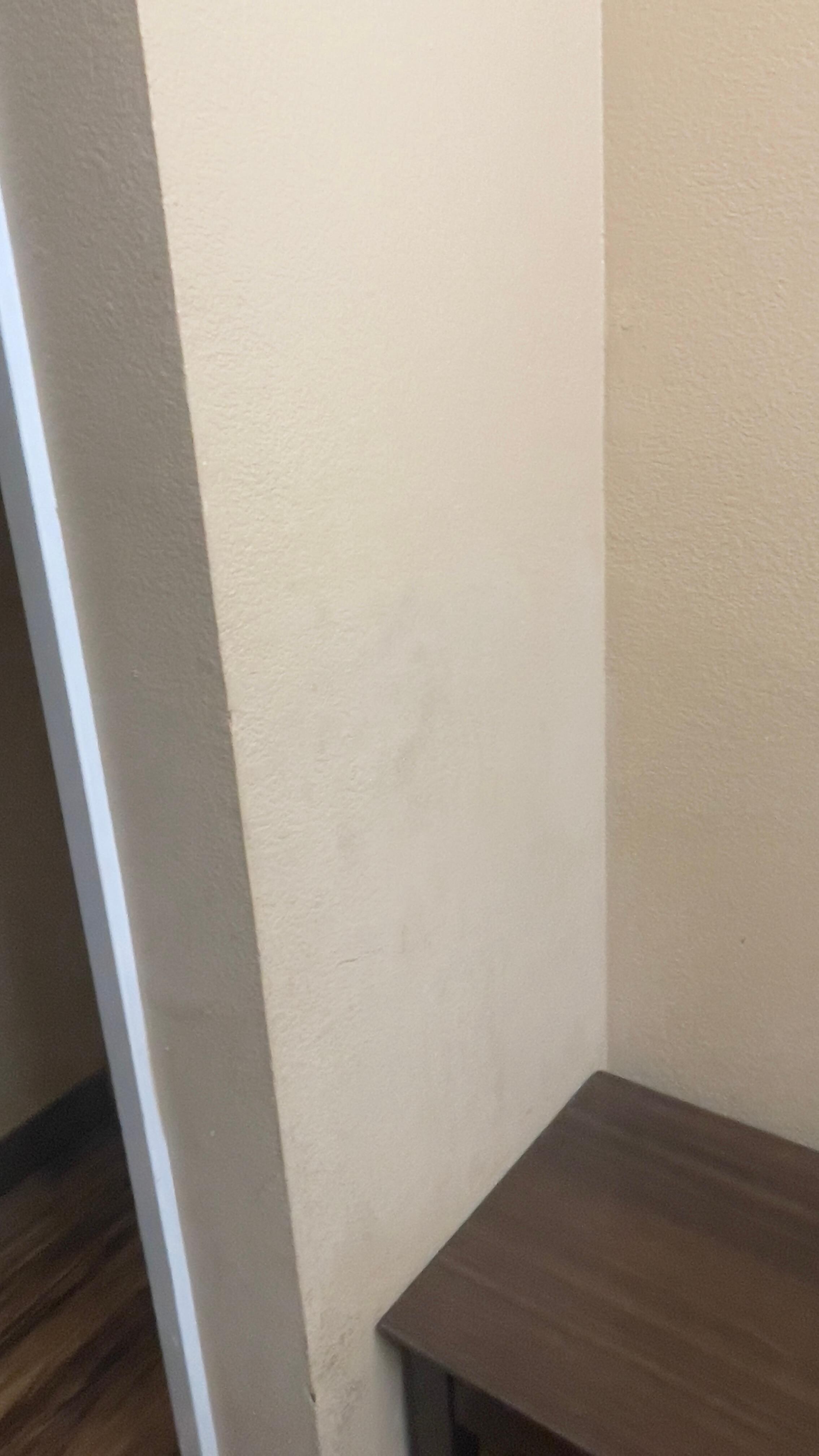 Never been cleaned and moldy