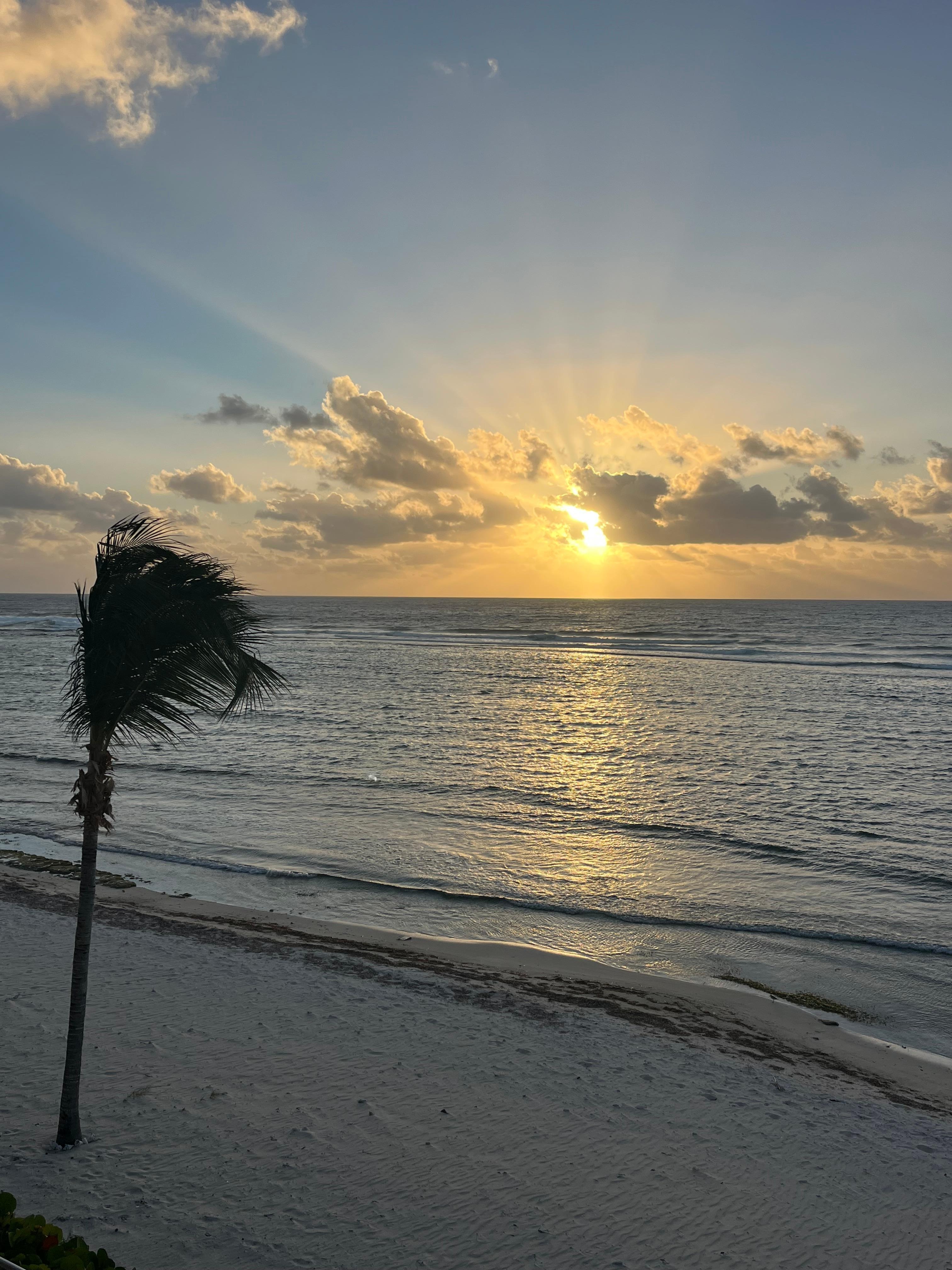 Sunrise from our unit.