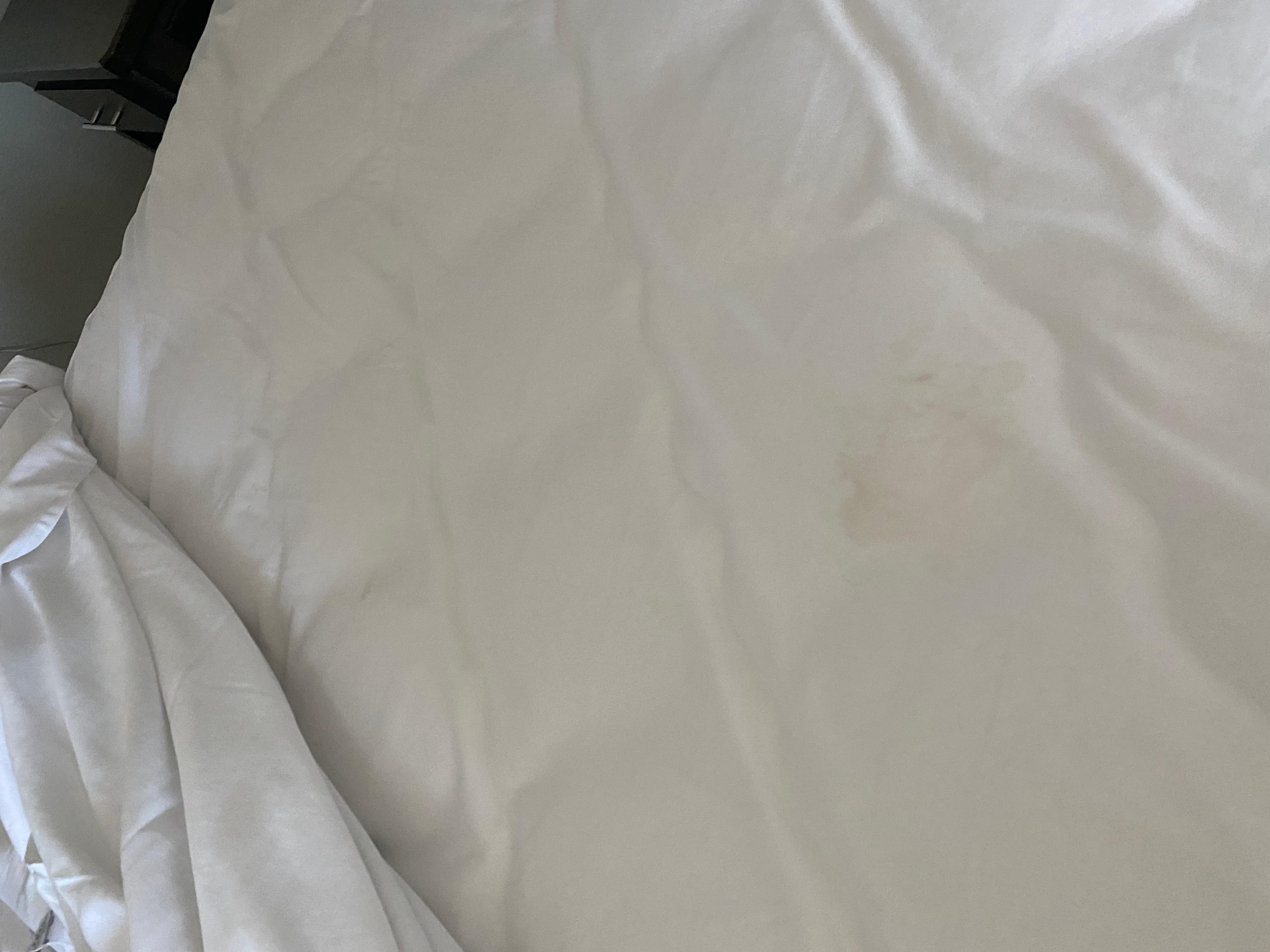 First room: sheets with stains and hair.