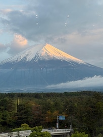 View from the Terrace during dinner.