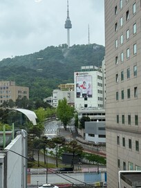 ホテルから有名なタワー見る風景