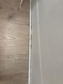 Mold around bathtub