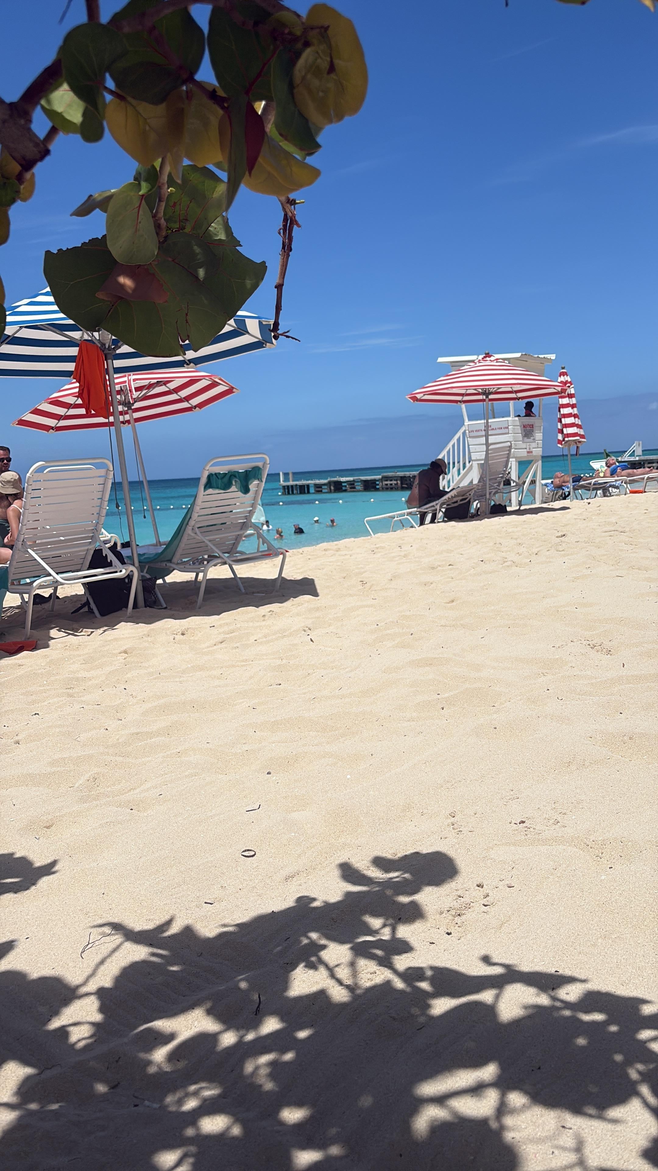 Near by doctors cave beach 