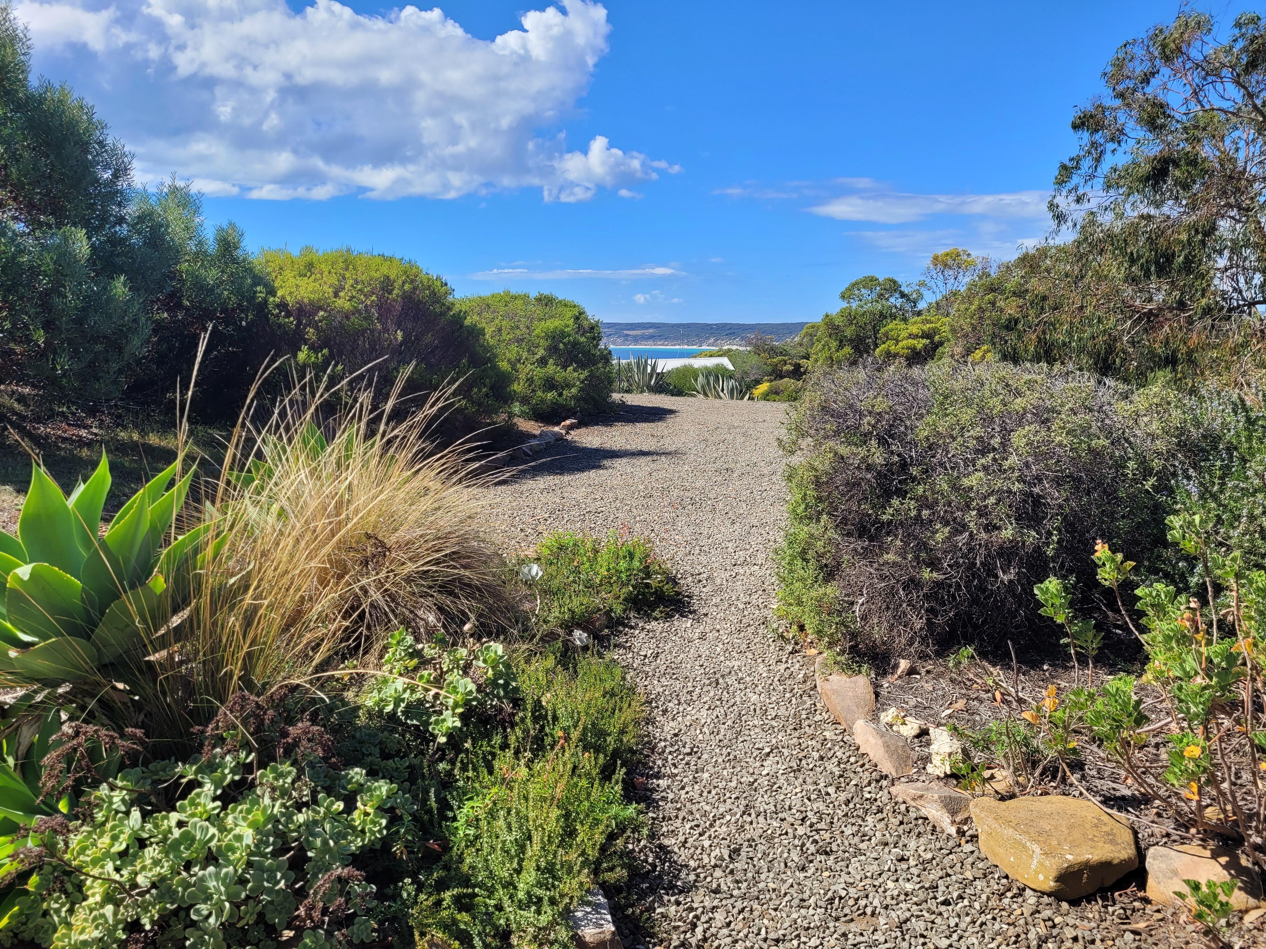 View from the front window