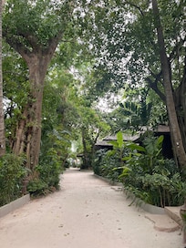 The pathway toward the beach