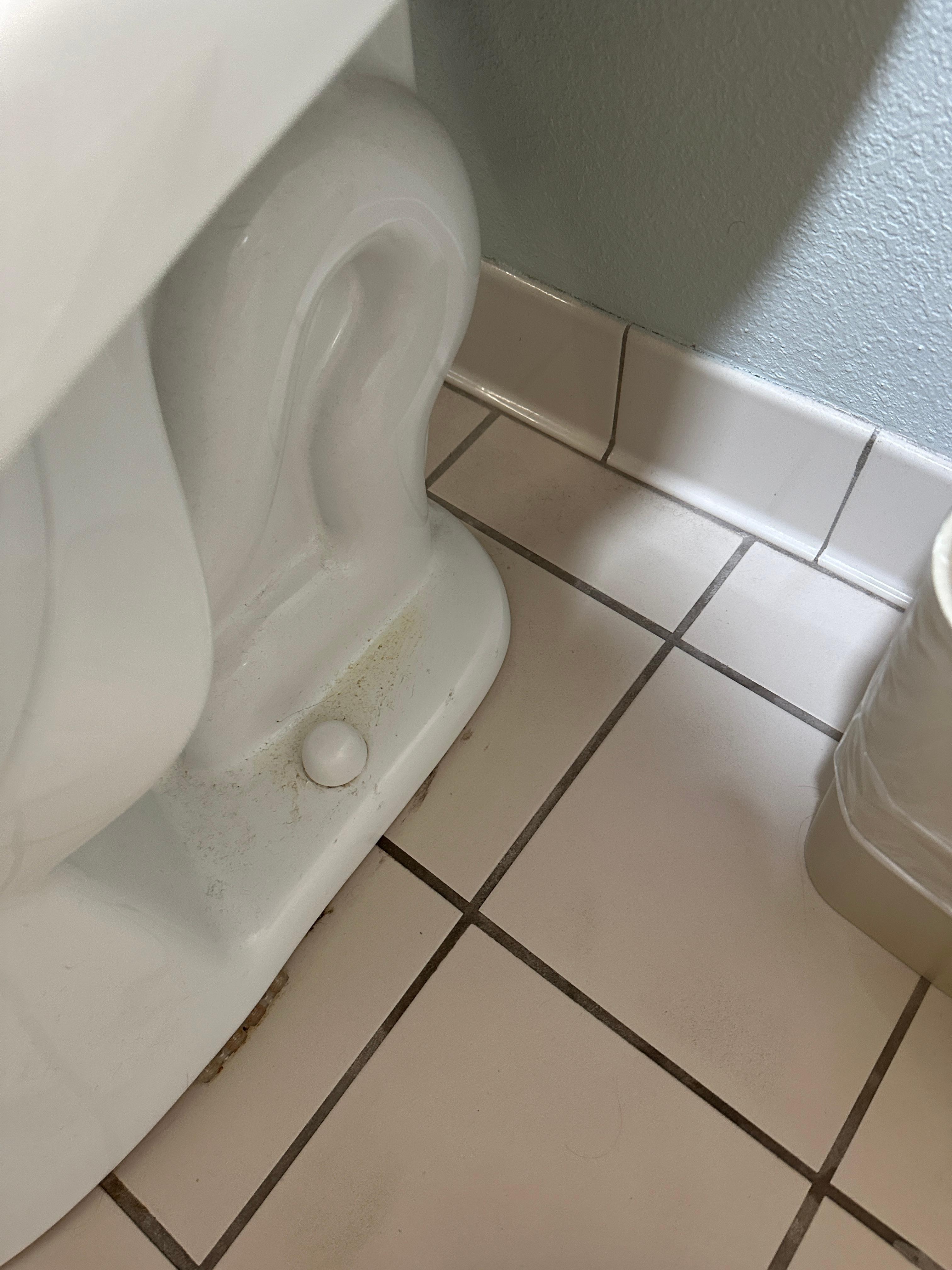 Filthy toilet