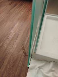 This was after wiping up with towel