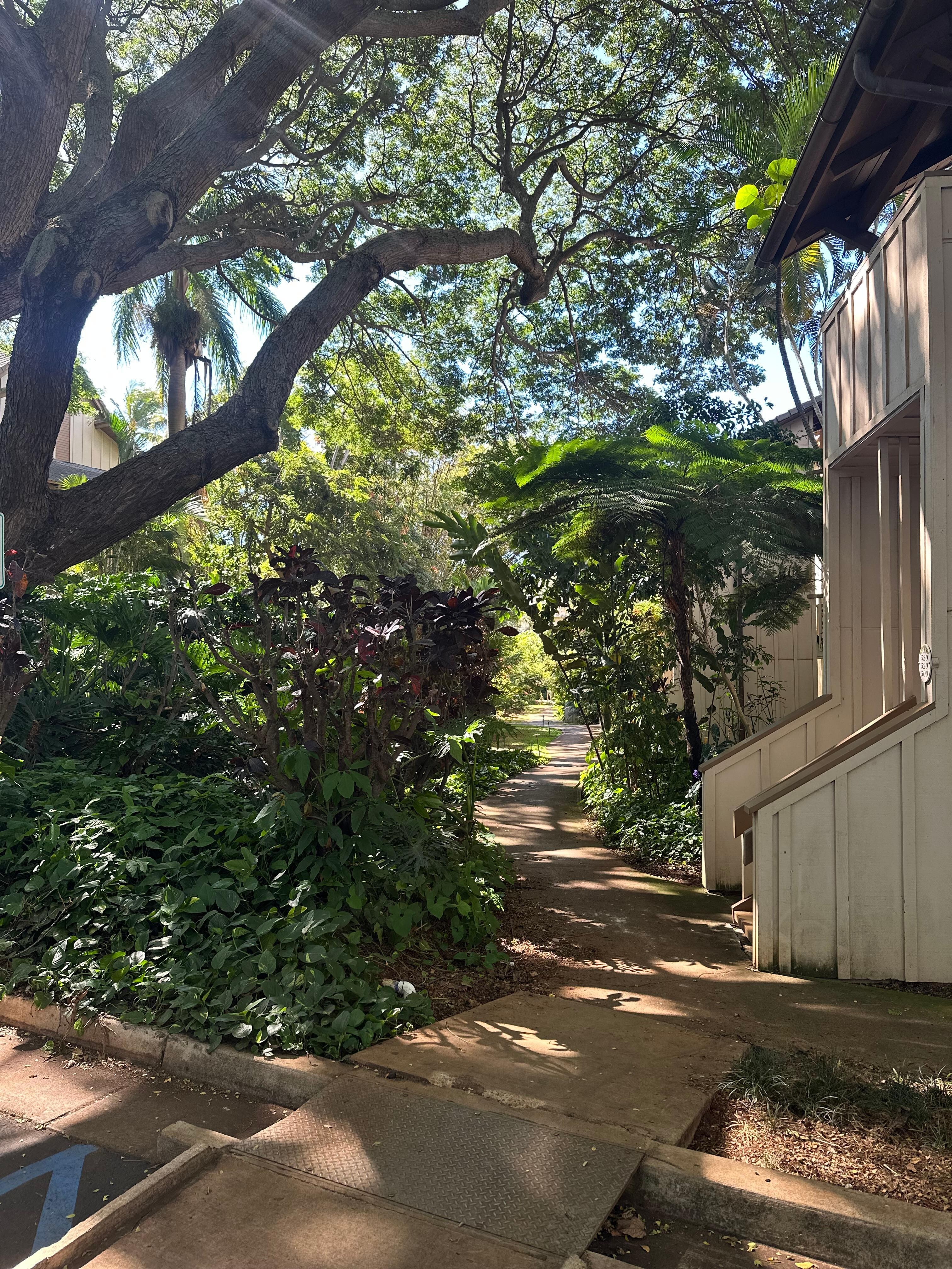 Lots of shady vegetation on the grounds