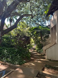 Lots of shady vegetation on the grounds