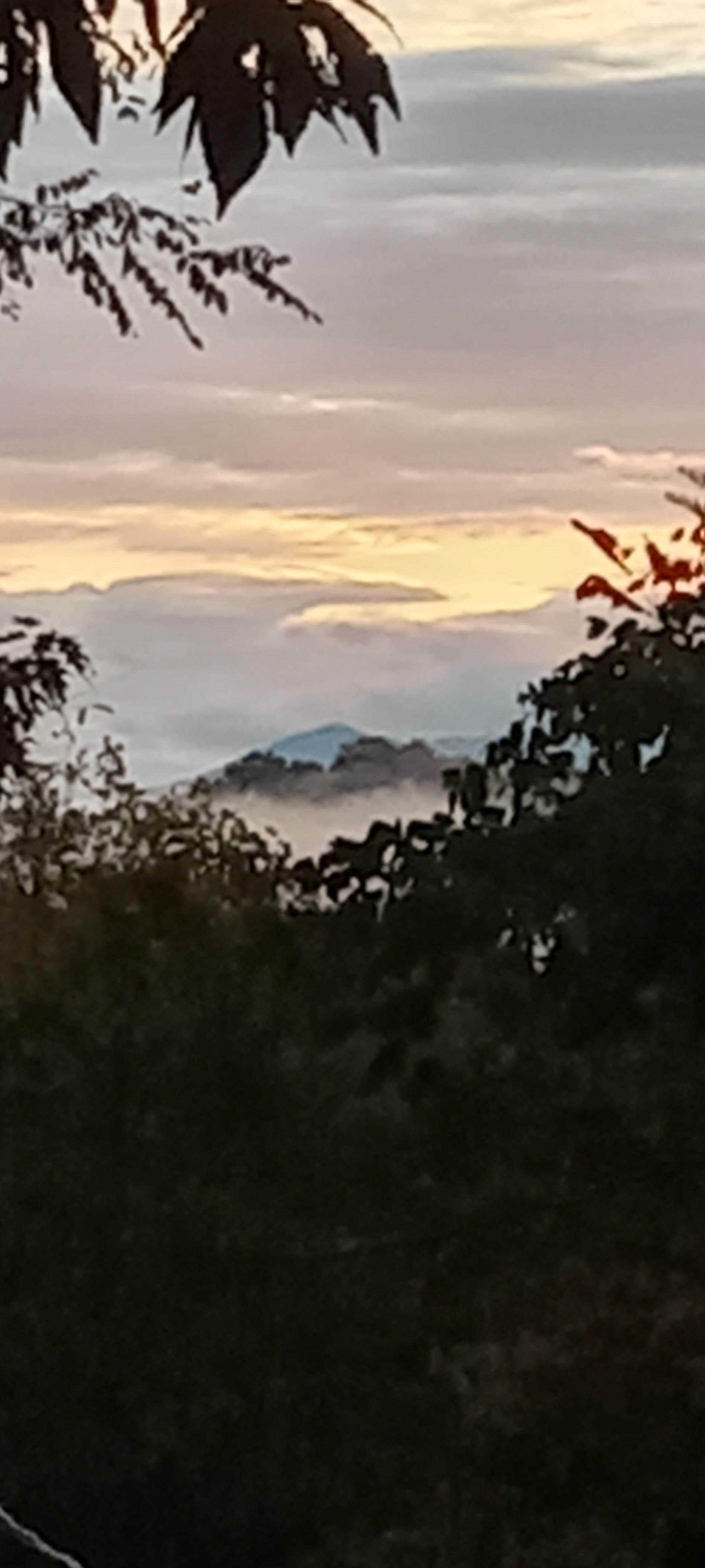 Morning sky off of front porch.