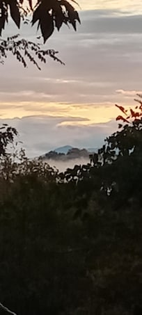 Morning sky off of front porch.