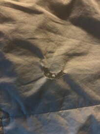 Torn