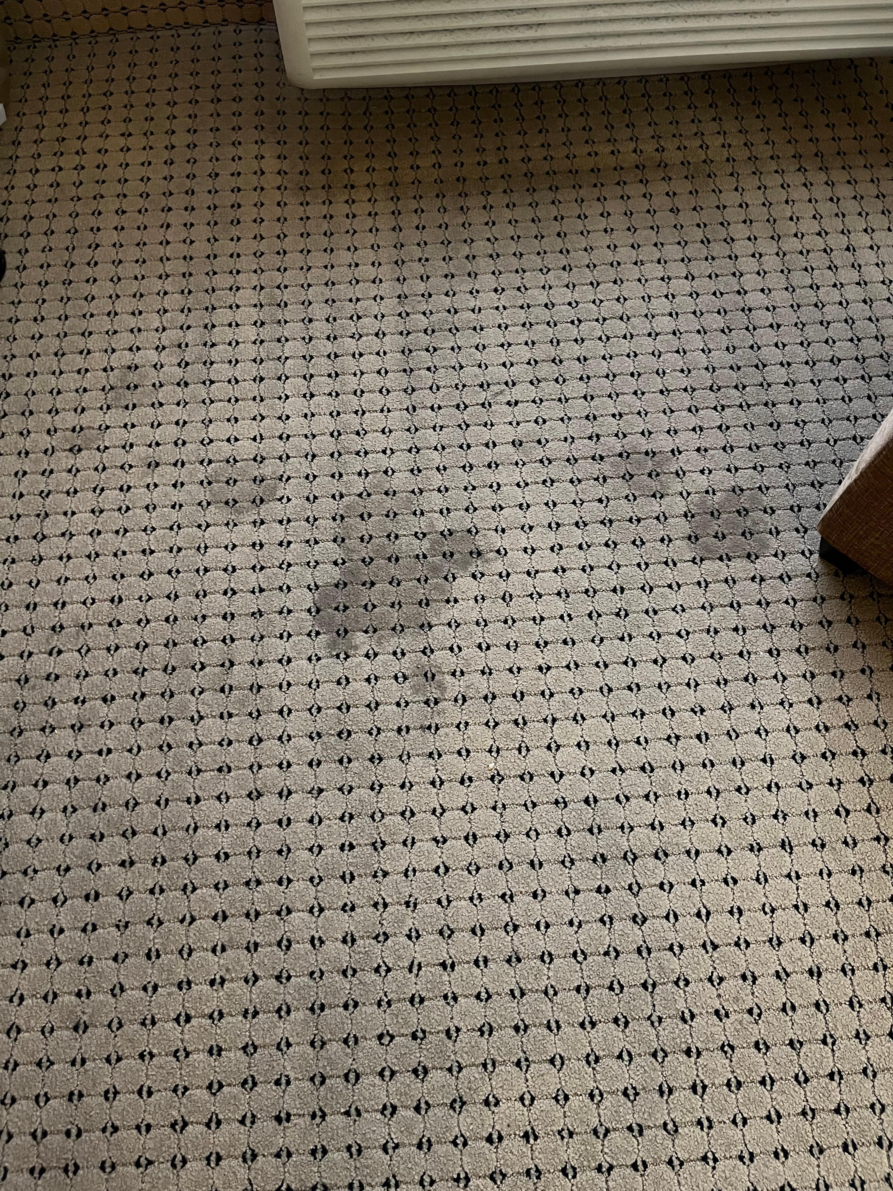 Large ugly stains on carpet. 