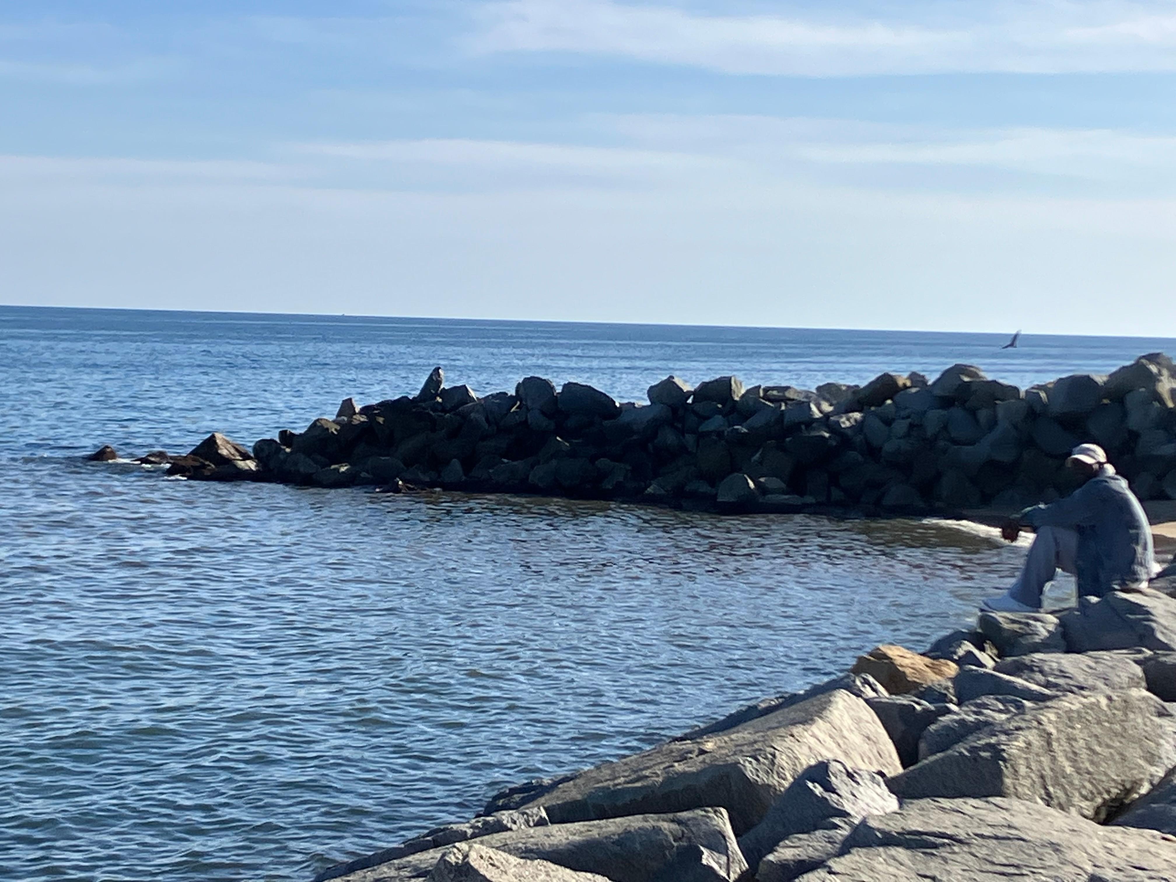 Bra läge nära havet 