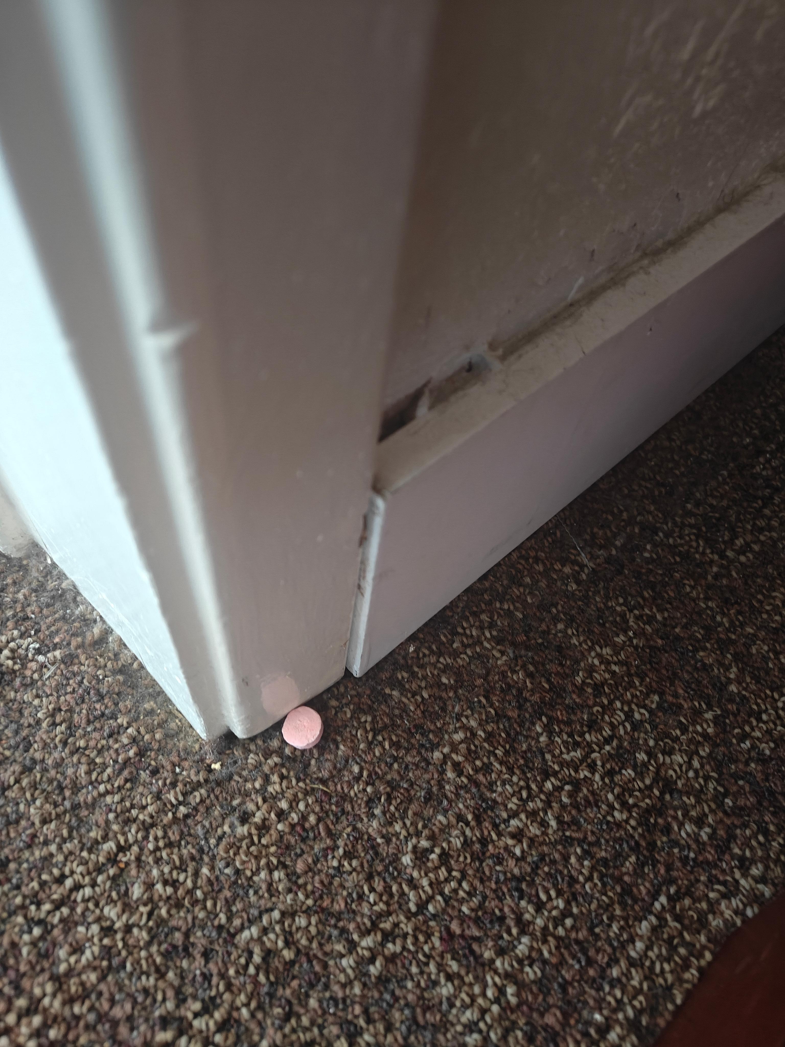 Pills and pop corn were all over the room 