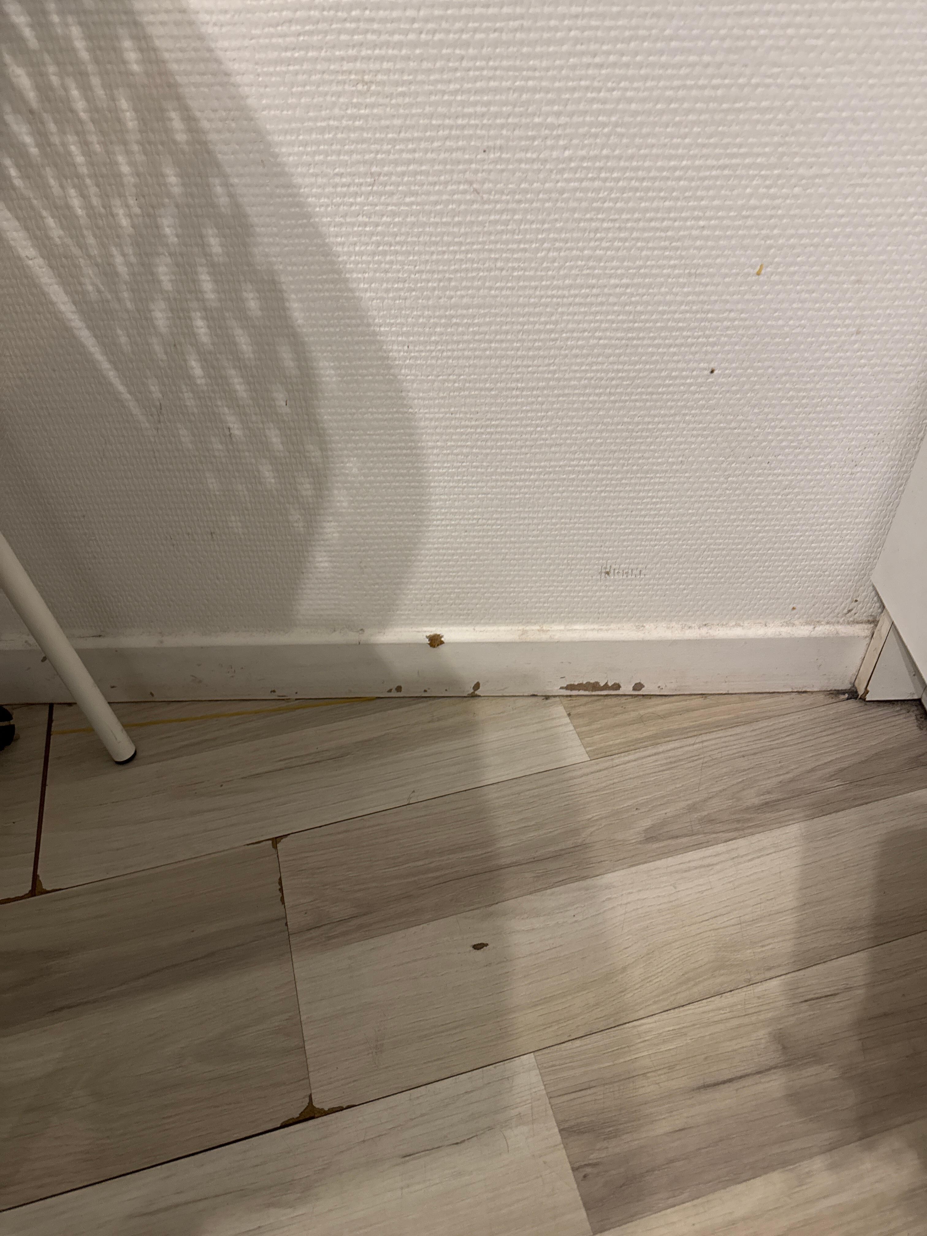 Lots of wear and tear