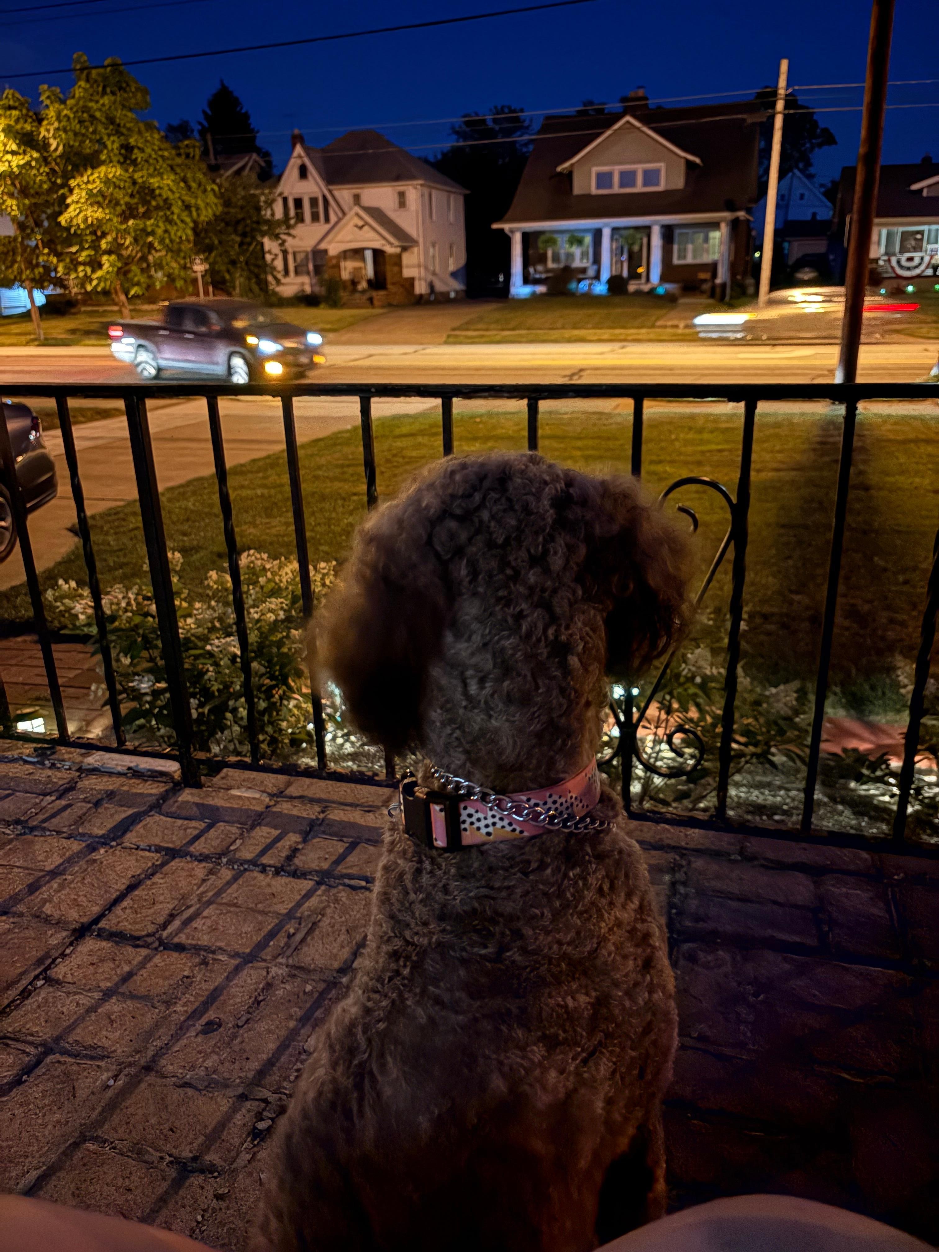 An evening on the front porch 